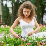 Dutch lush green lawn garden spring care