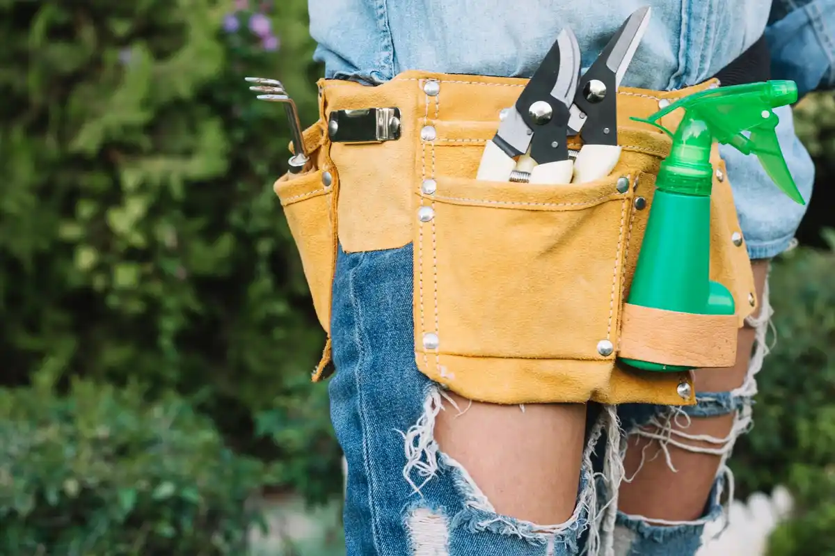electric garden tools beginners