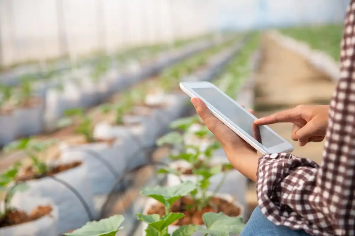 advanced garden irrigation system with smartphone control