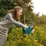 lush green lawn organic lawn care natural gardening tips