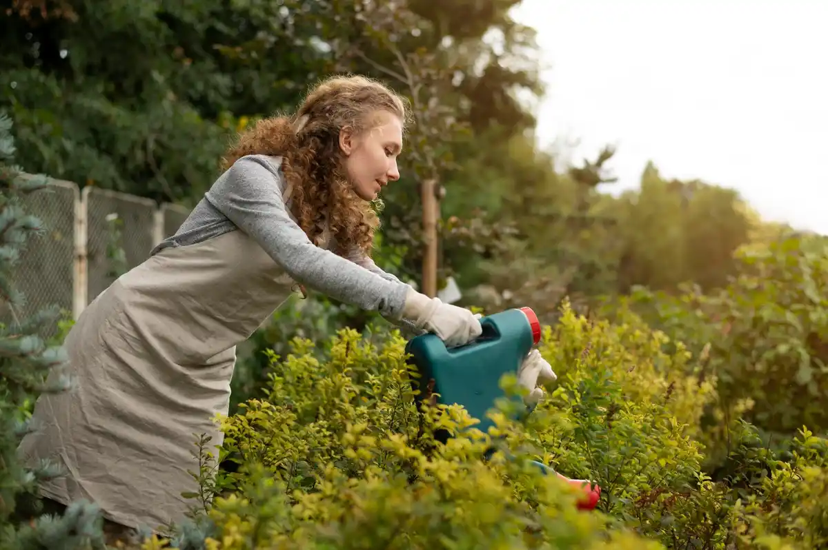 lush green lawn organic lawn care natural gardening tips