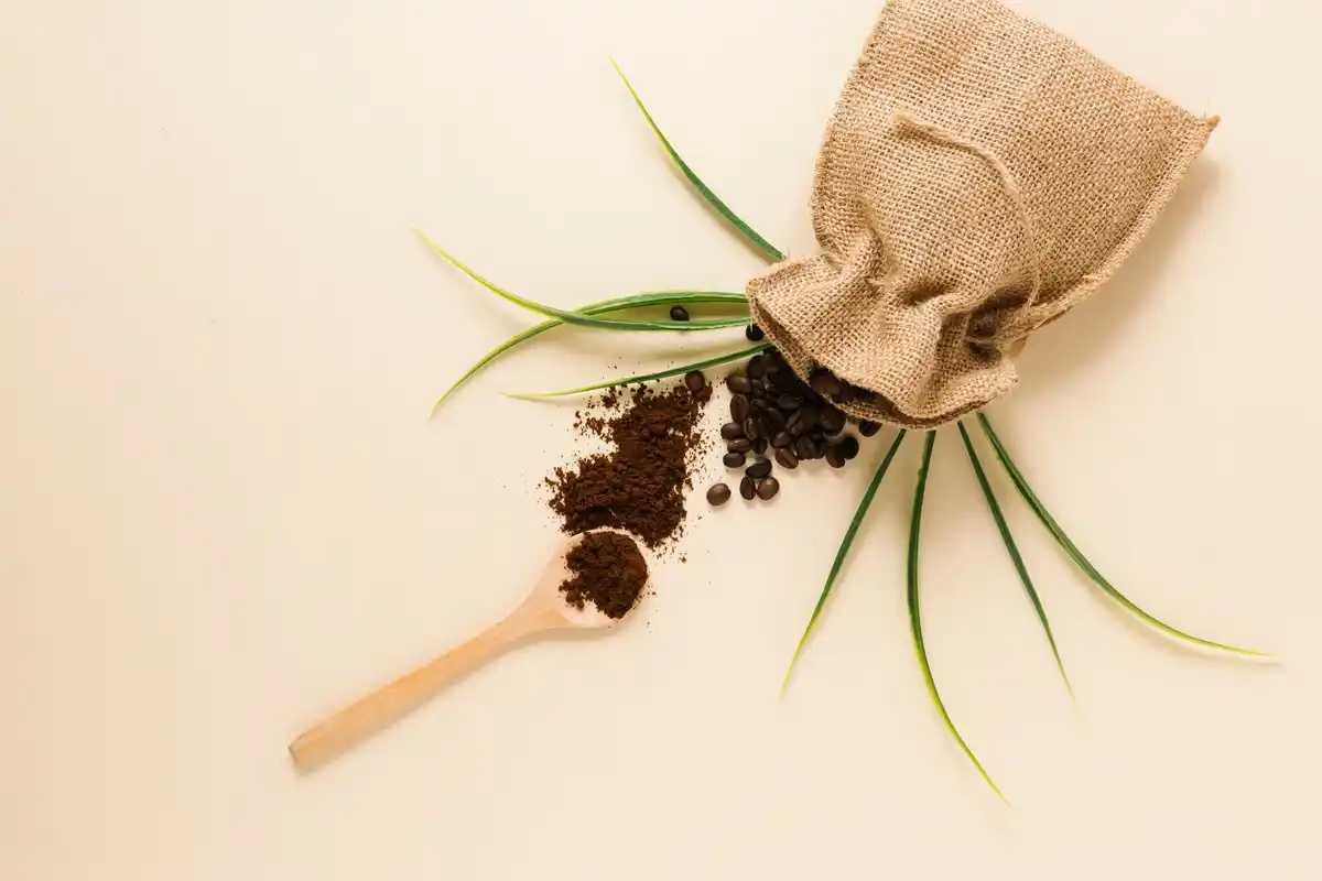 organic lawn care coffee grounds compost
