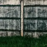 dull lawn before and after renovation