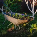 Dutch garden compost mulching raised beds vegetable plants