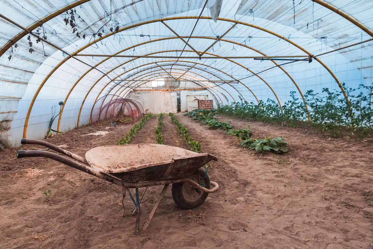 Dutch vegetable garden with raised beds and compost