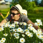 Dutch garden lawn care summer sunny