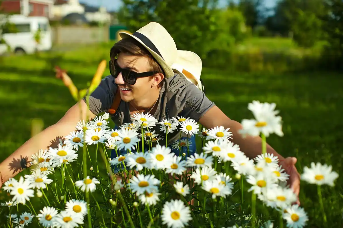Dutch garden lawn care summer sunny