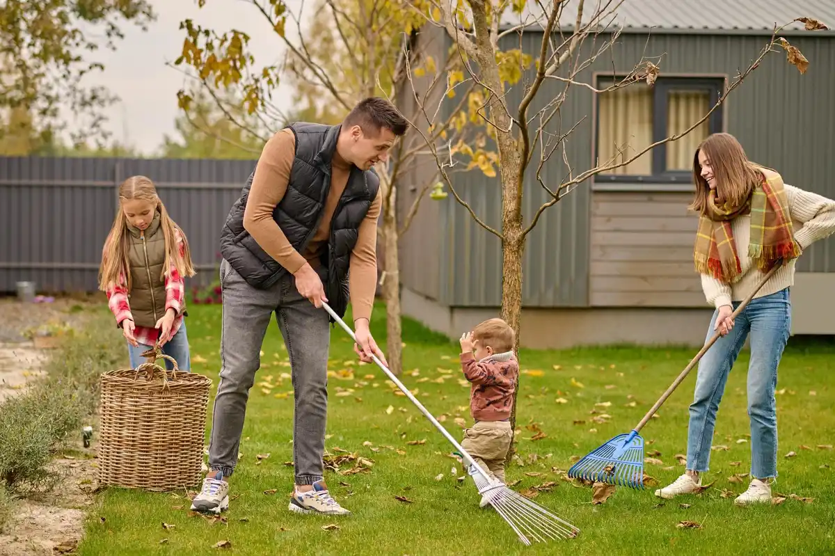 Dutch garden lawn care summer