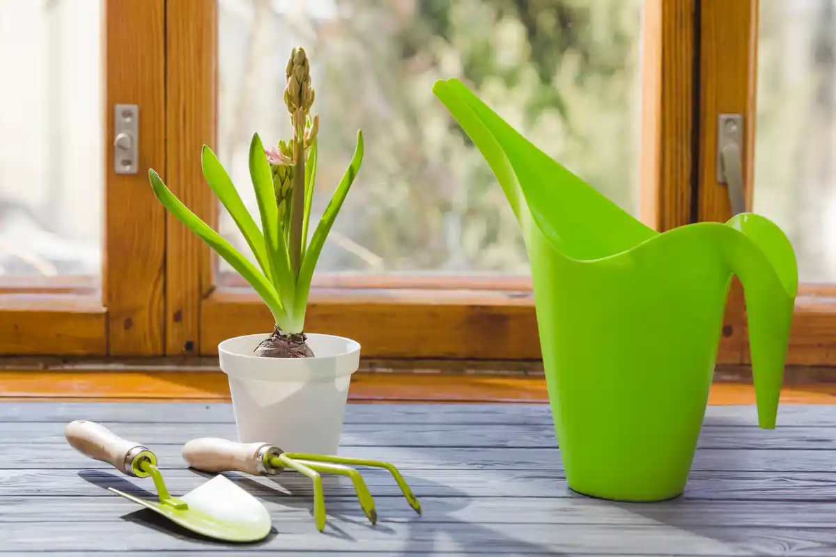 Pruning and lawn care tools in Dutch garden