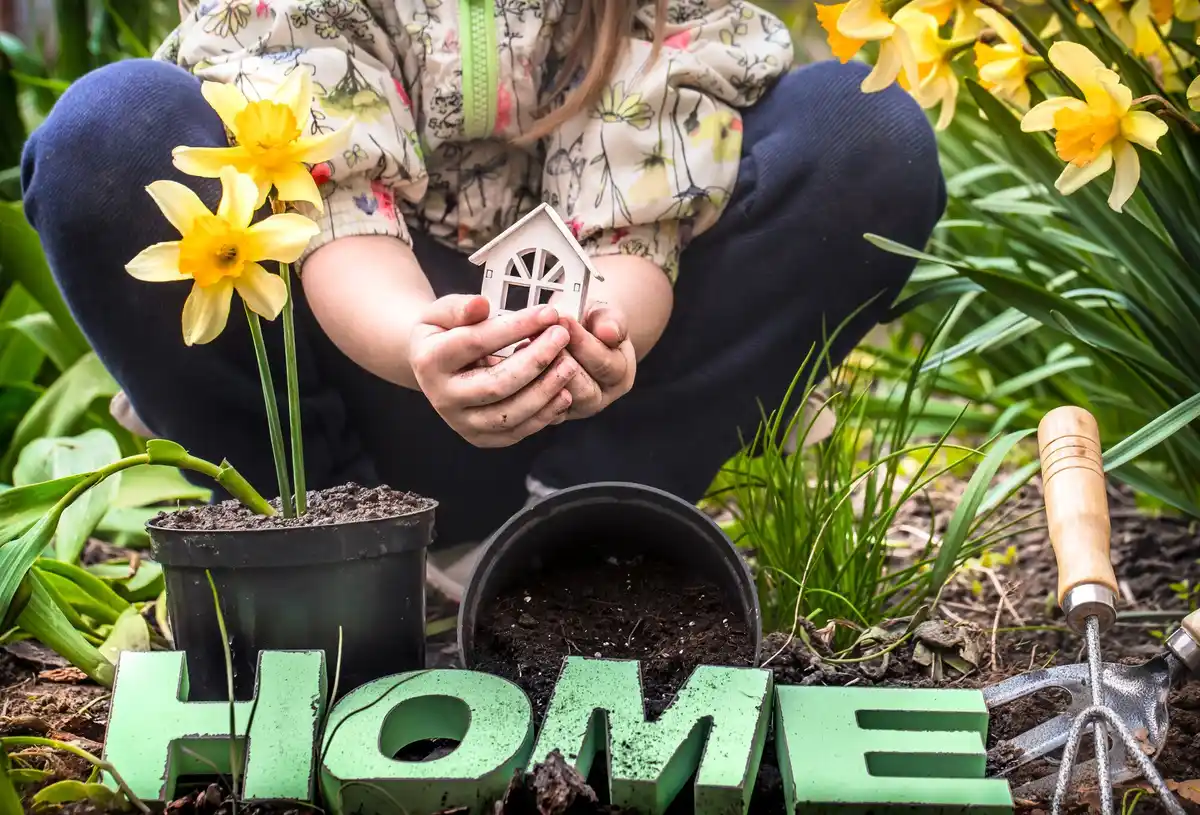 compost lawn care natural fertilizer homemade gardening