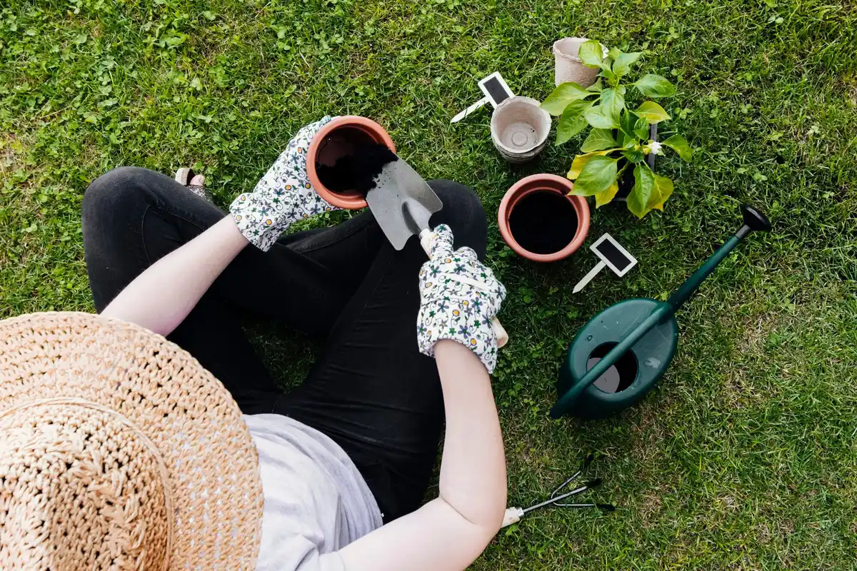 lush green lawn gardening care