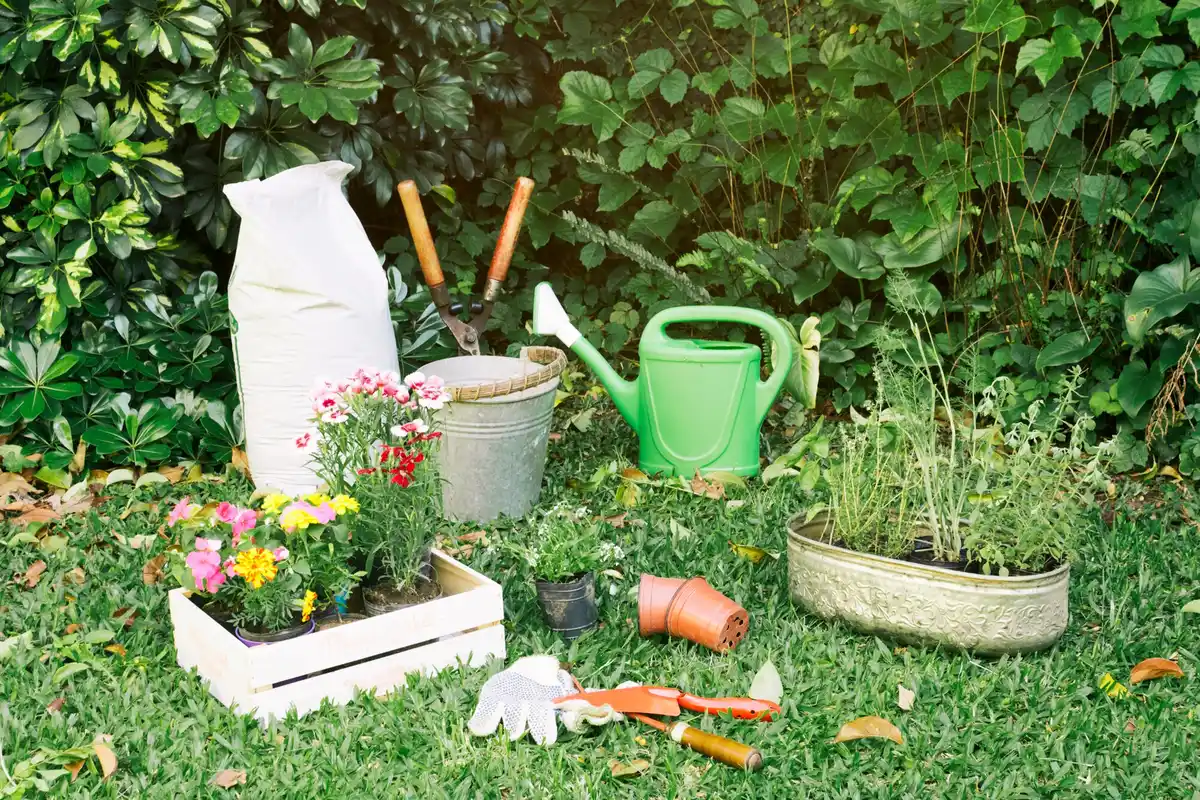 green lush lawn backyard gardening