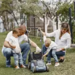 green healthy lawn backyard Netherlands simple lawn care