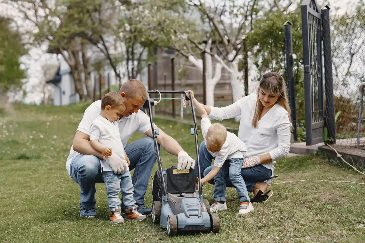 green healthy lawn backyard Netherlands simple lawn care
