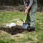 lawn brown patch repair garden Netherlands