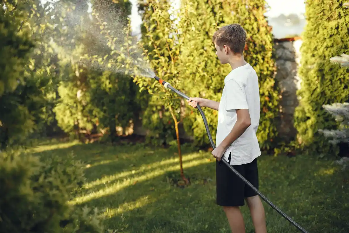 watering green lawn in early morning light