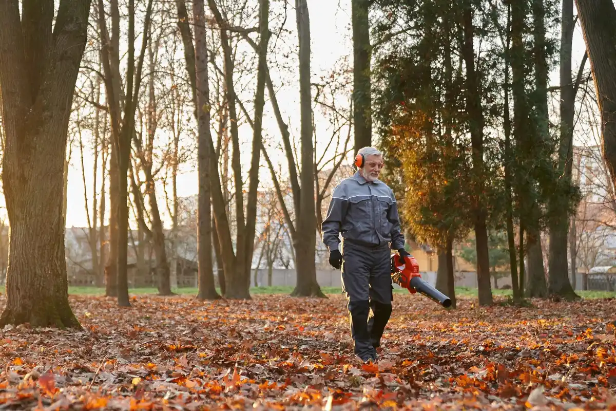 grass cutting Netherlands autumn garden