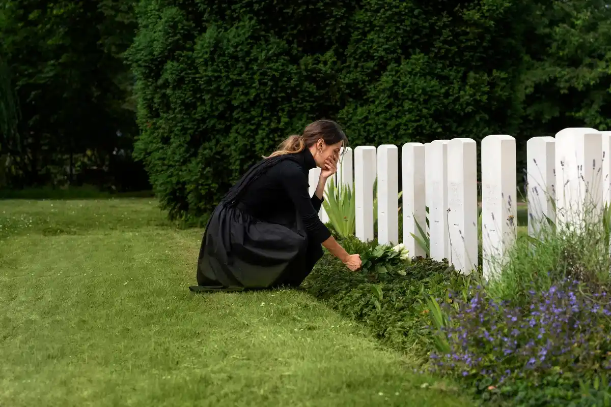 repair lawn damaged grass Netherlands garden