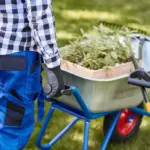 lawn weed control tools garden maintenance