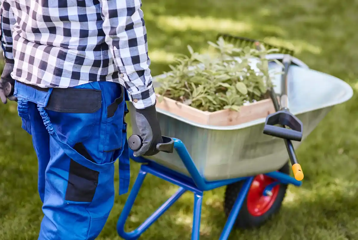lawn weed control tools garden maintenance