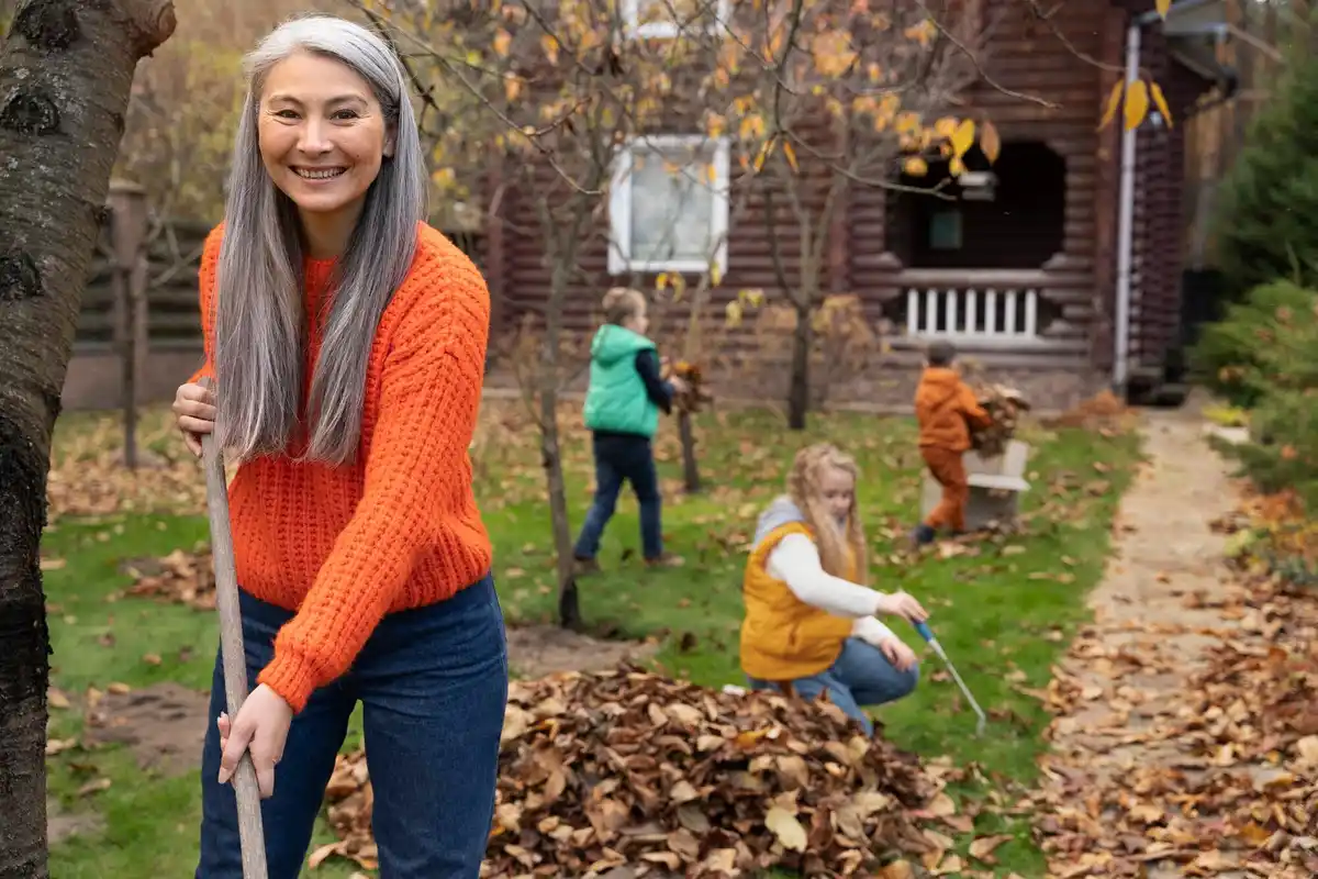 Dutch lawn care renovation spring garden