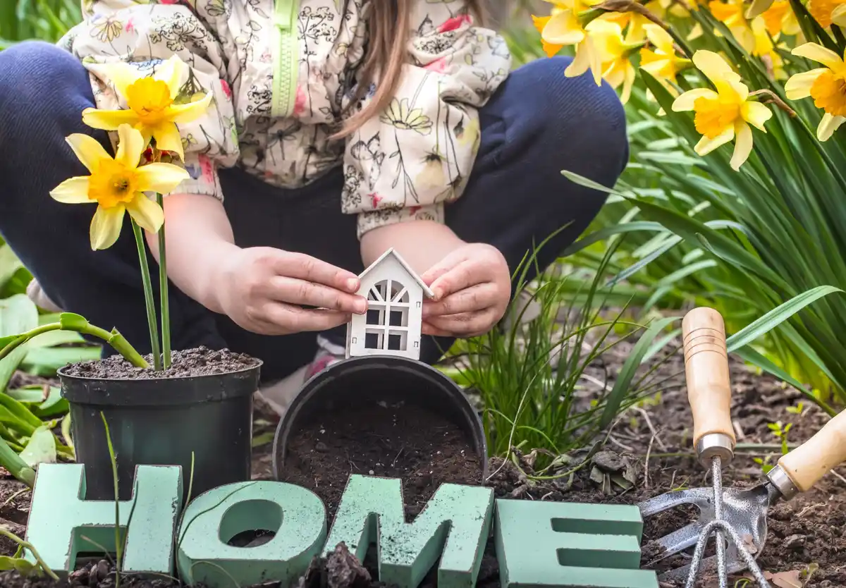 Dutch garden lawn care tips