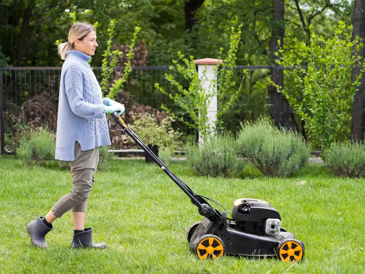 healthy green lawn garden backyard summer