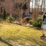 lush green lawn mowing sunny backyard