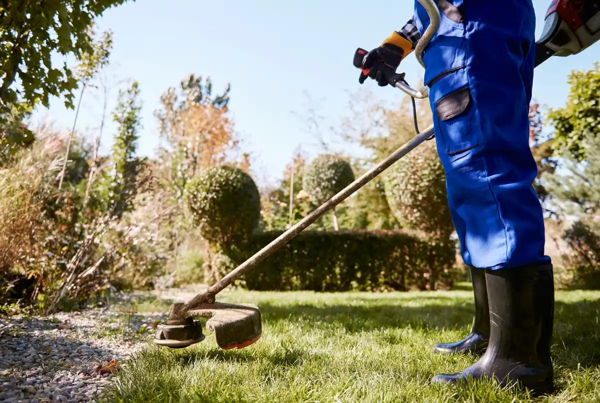 person mowing lush green lawn on sunny day