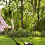 healthy green lawn dutch garden maintenance