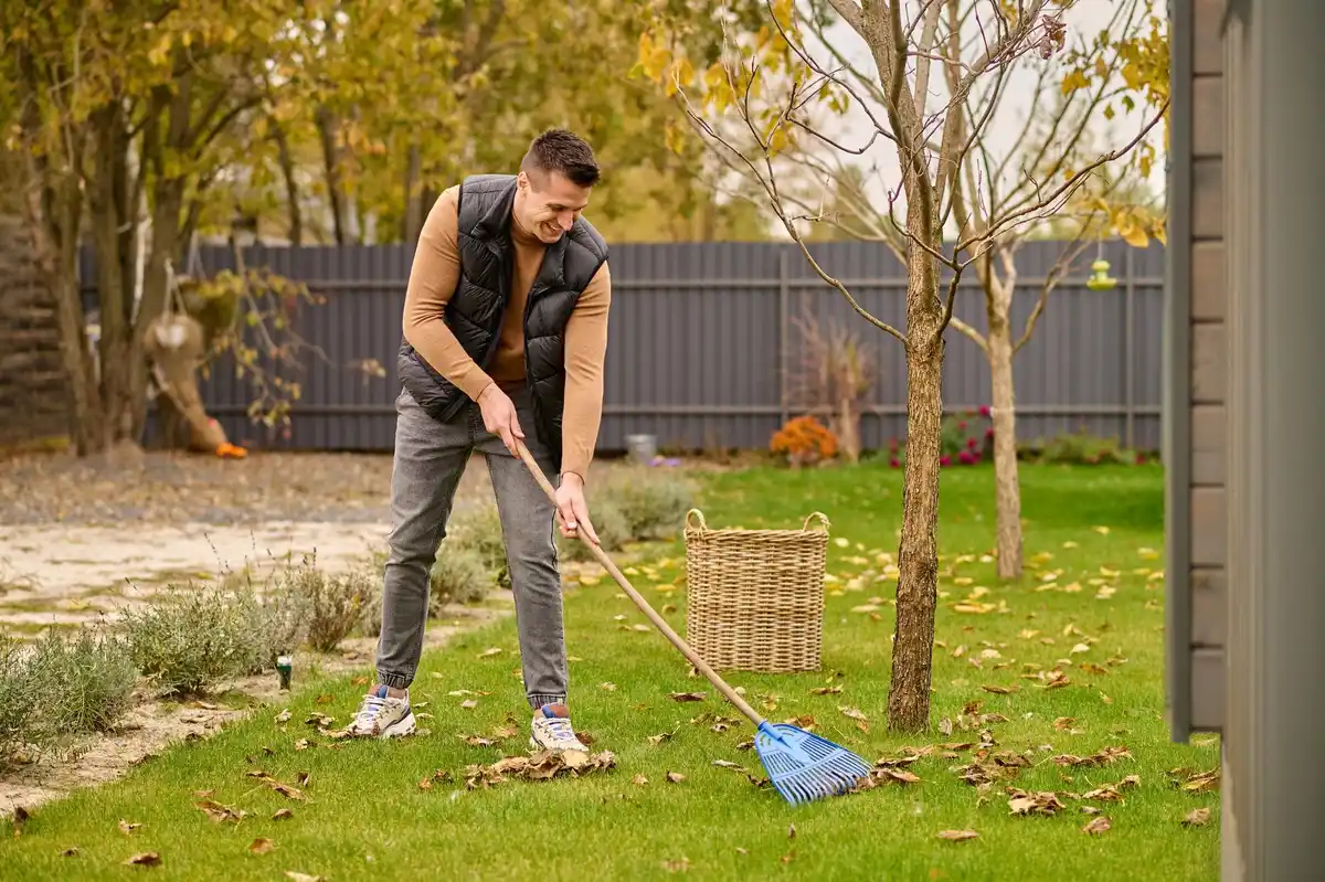 Dutch lawn care mistakes