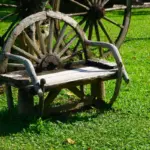 lush green healthy lawn backyard Dutch garden aeration