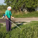 fertilizing lawn garden netherlands