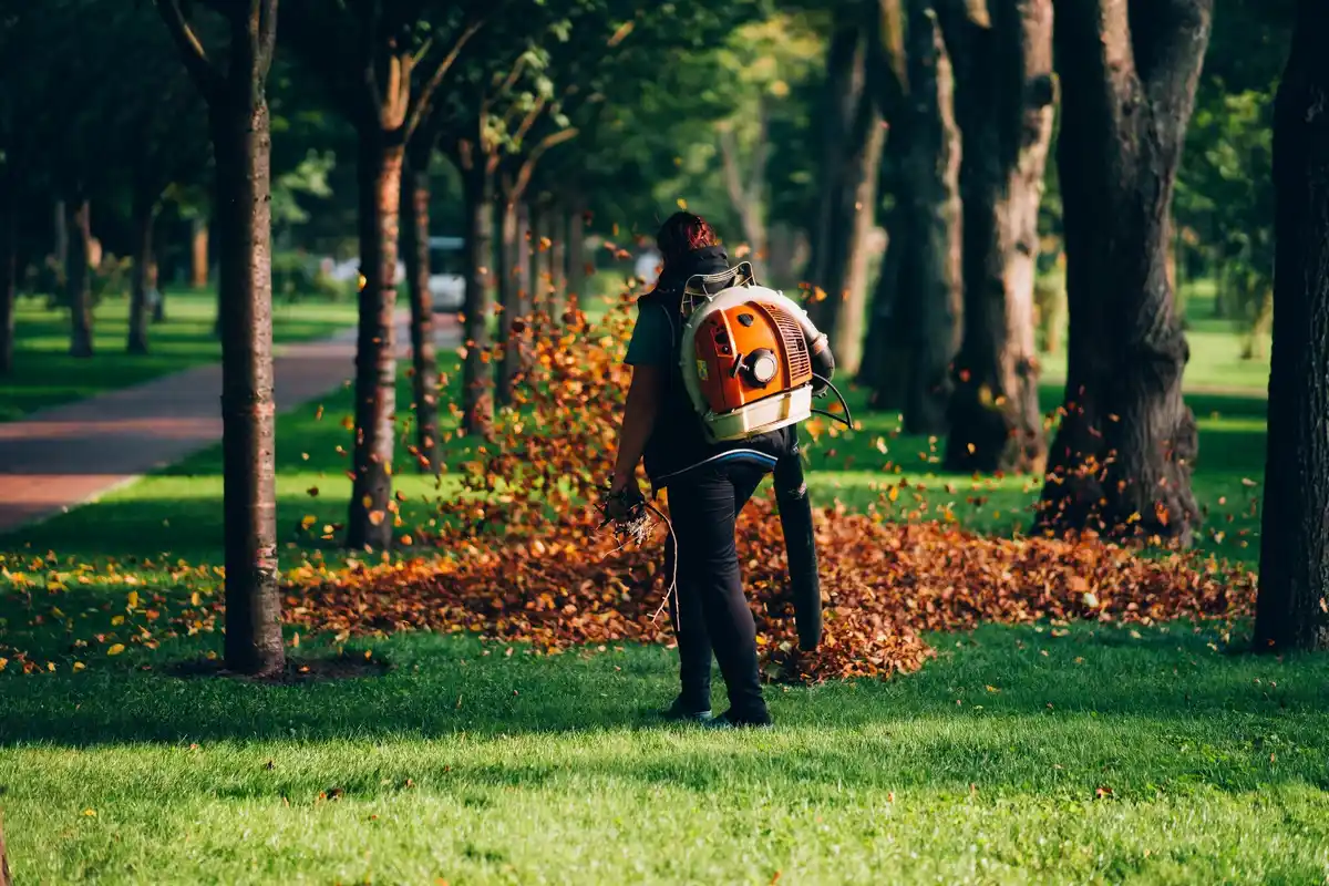 fertilizing lawn garden netherlands