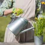 dutch backyard garden tools automatic watering system