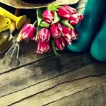 Dutch garden tools variety in garden bright colors