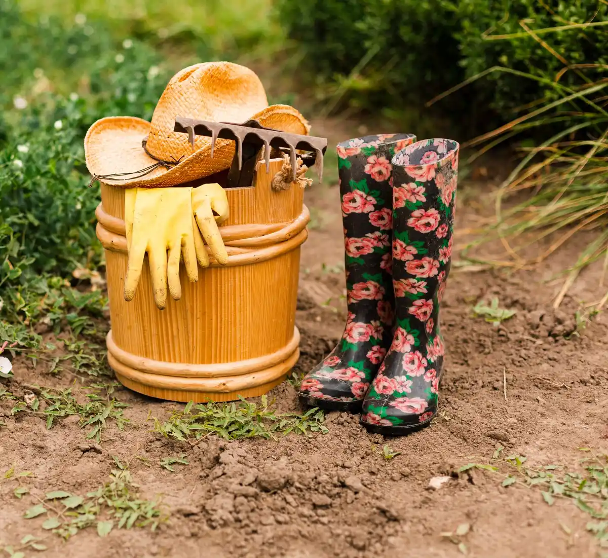 Dutch garden tools on wet grass