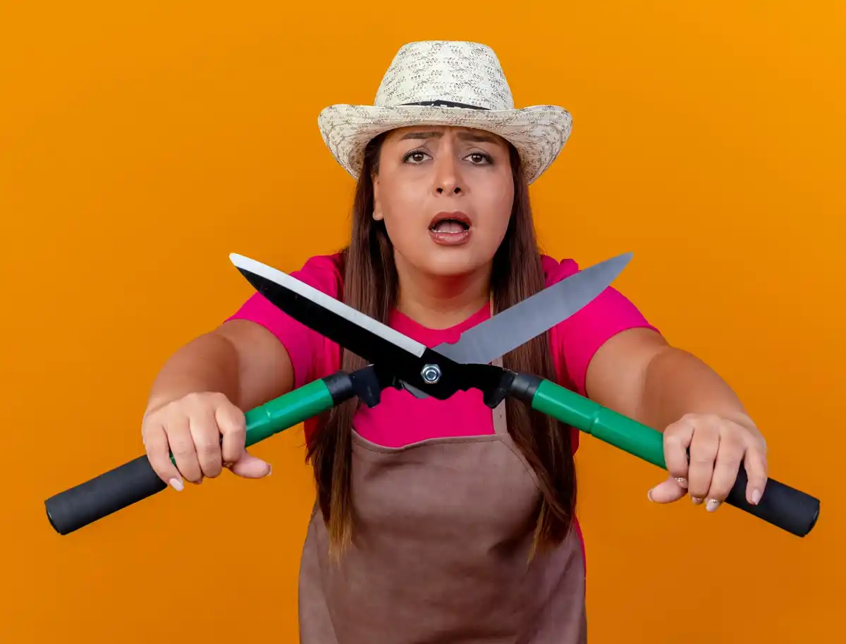 Dutch garden tools selection mistakes