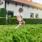 lush green lawn backyard Netherlands garden care