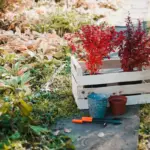 organic garden mulch soil Netherlands backyard