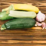 fast growing zucchini plant in garden