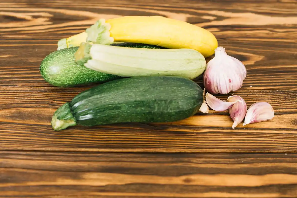 fast growing zucchini plant in garden