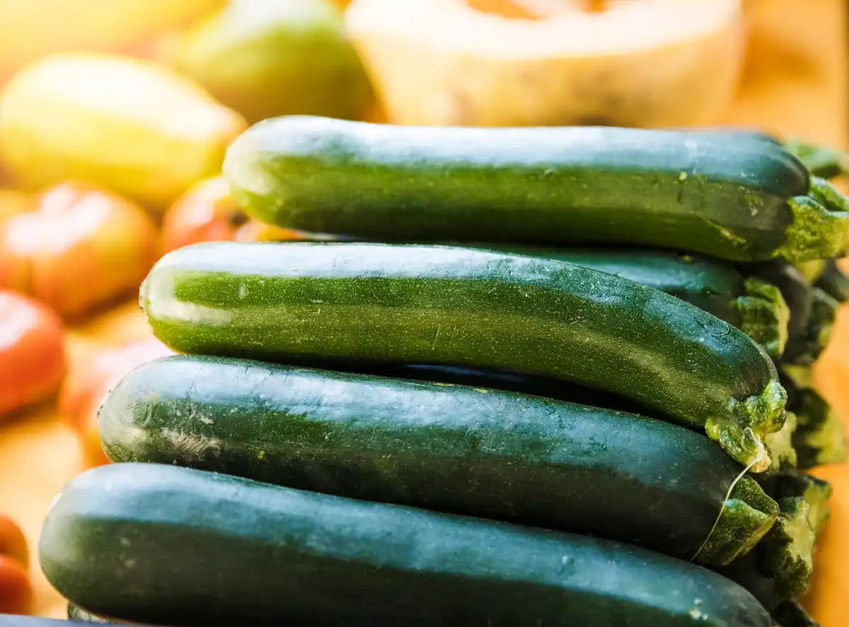 zucchini garden healthy growth