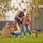 dutch garden power tools autumn backyard