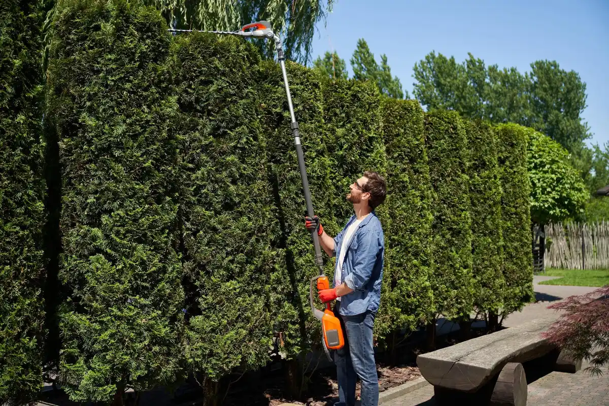 battery powered garden blower netherlands