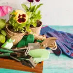 urban gardening tools Dutch balcony garden