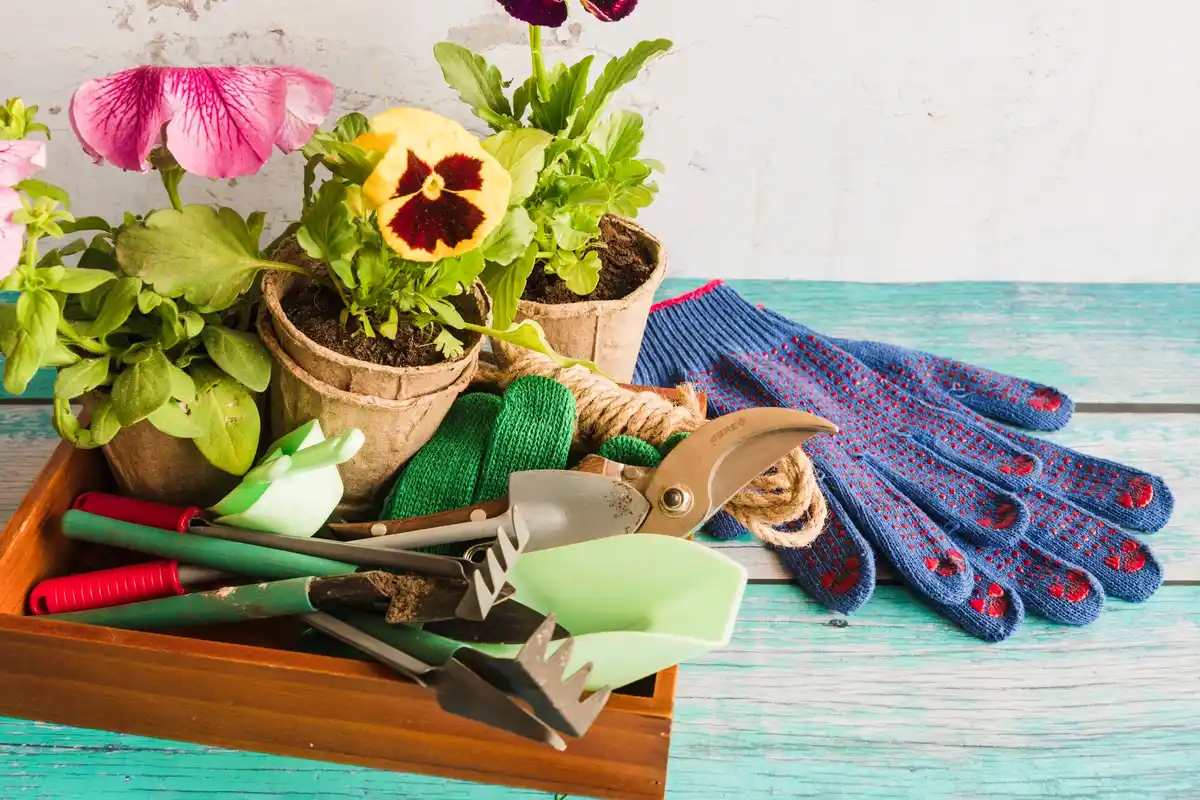 urban gardening tools Dutch balcony garden