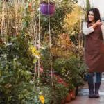 urban vegetable garden sunny spot Netherlands