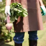 gardening mistakes growing carrots garden