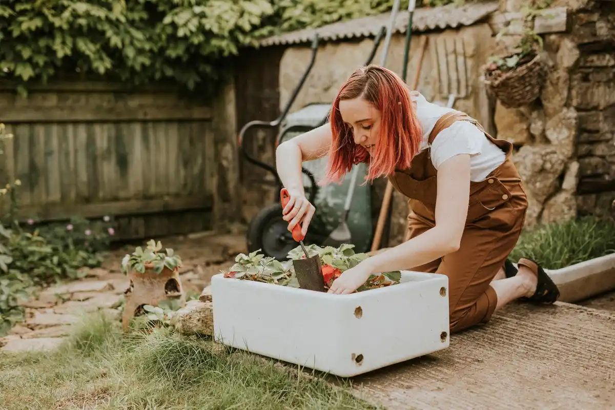 carrot garden mistakes home gardening